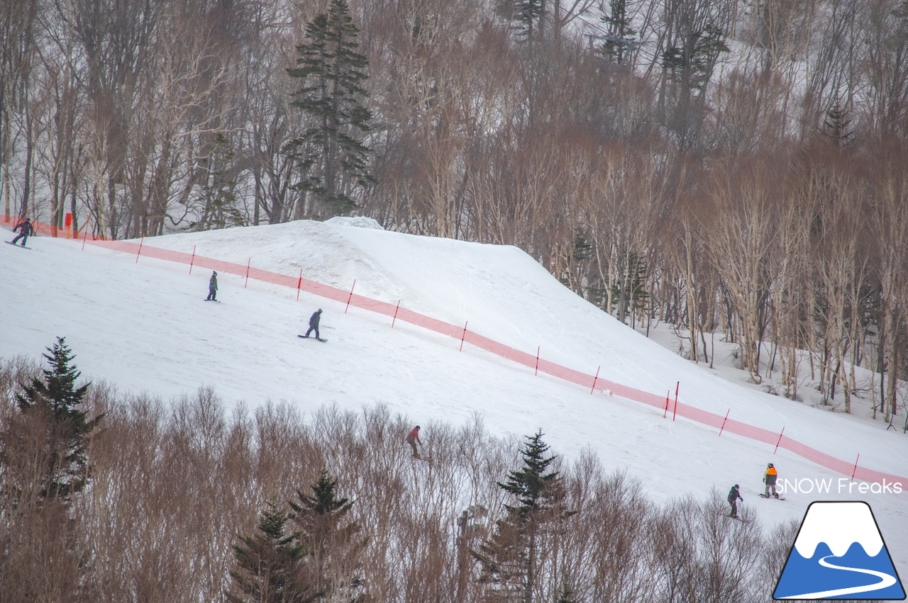 札幌国際スキー場｜山頂の積雪は、300cm！連日の春スキー＆スノーボード日和から一転、今日は冬が帰ってきました♪